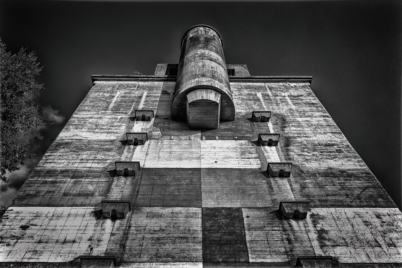 速盈娱乐，注册|重庆蚂蚁是哪个平台的代理