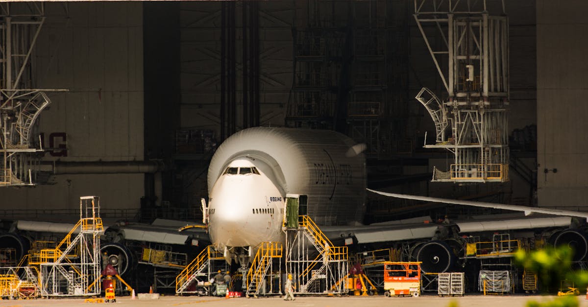 奥比岛：梦想国度：捕鱼大师自动注册账号