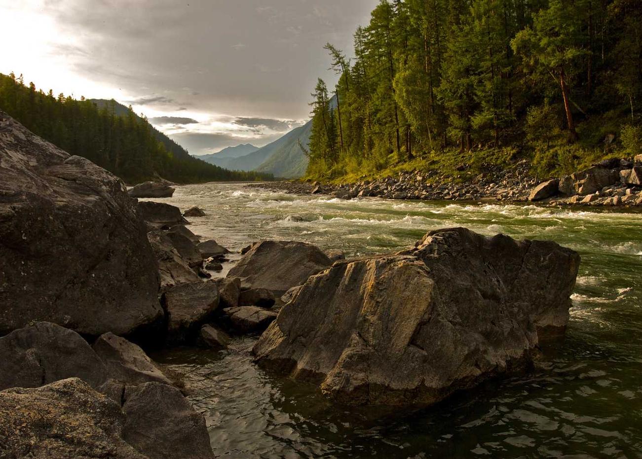 什么样的通知信息最适合使用短信通知？