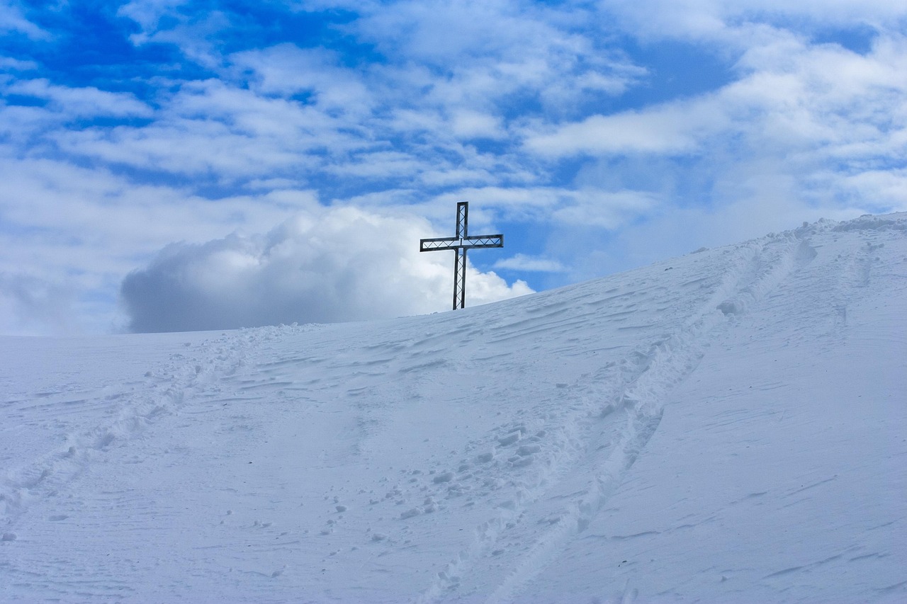 在线DDOS平台攻击|中国慕课网app详情下载教程