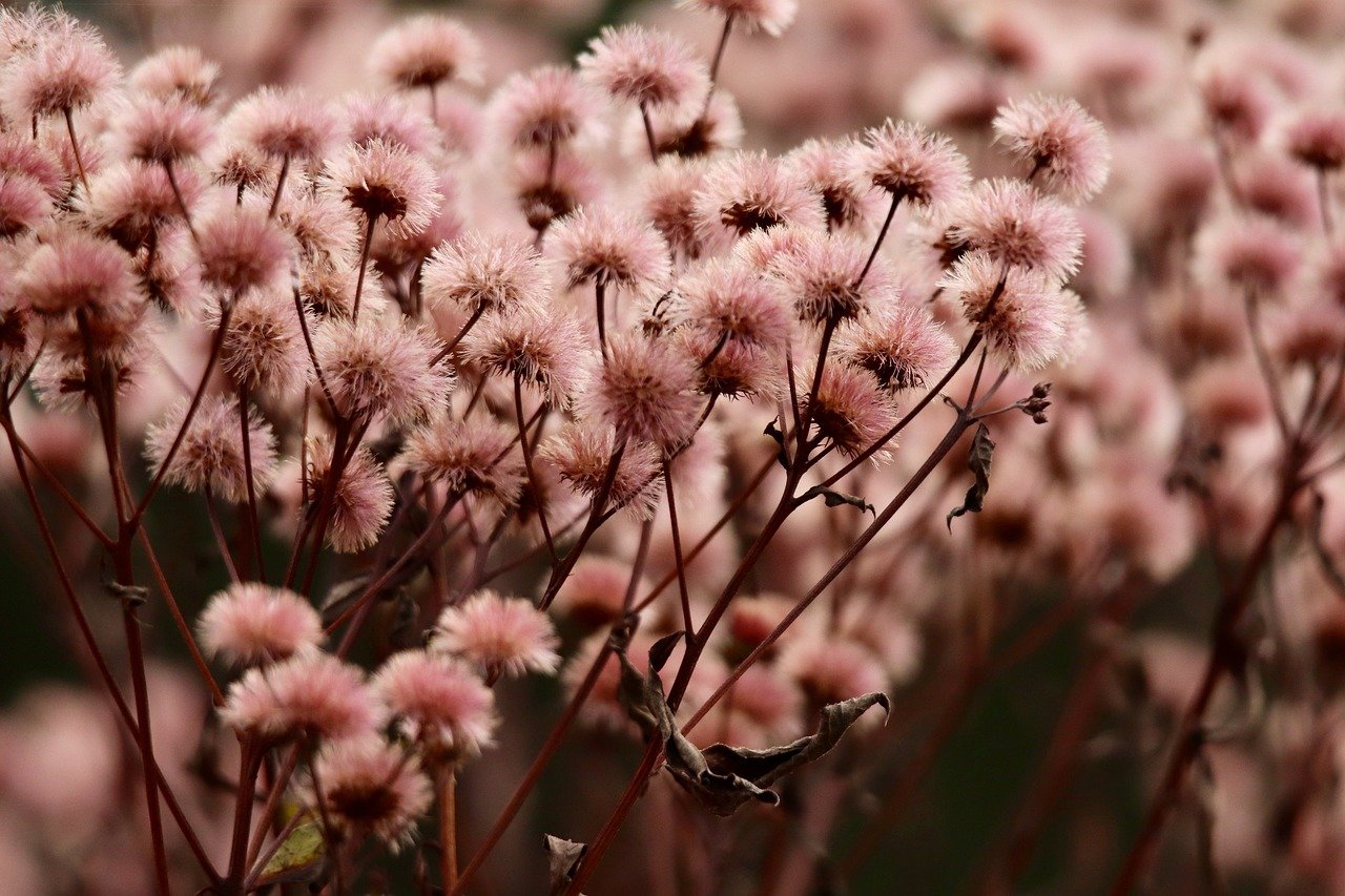 VX号交易网：平安借款app详情下载教程